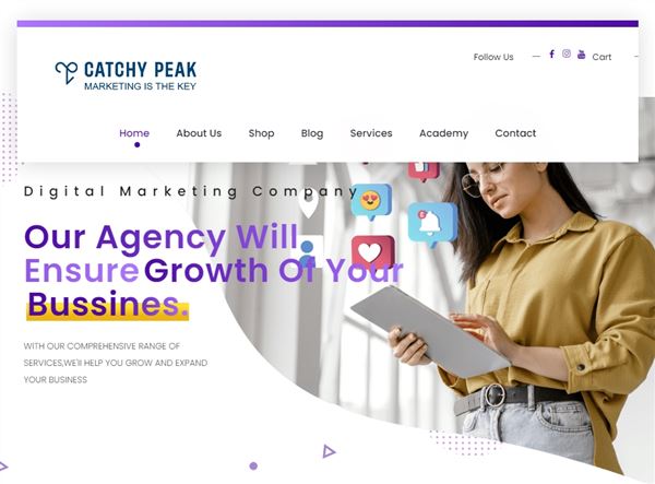 Catchy Peak | Digital Marketing Company
